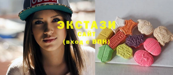 хмурый Аркадак
