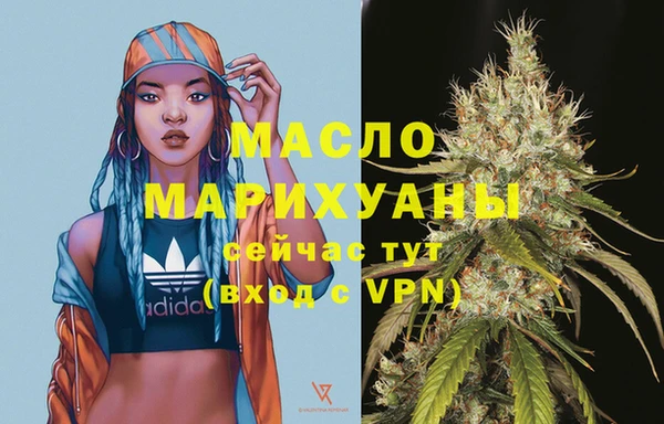 хмурый Аркадак