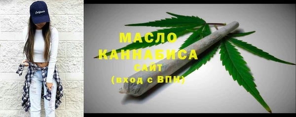 хмурый Аркадак