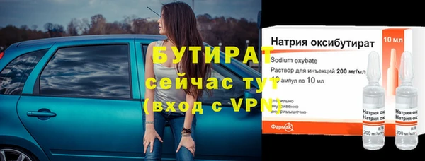 хмурый Аркадак