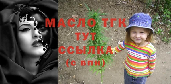 хмурый Аркадак