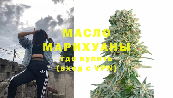 хмурый Аркадак