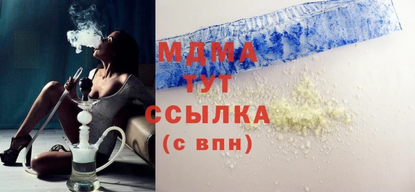 хмурый Аркадак