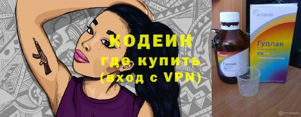 хмурый Аркадак