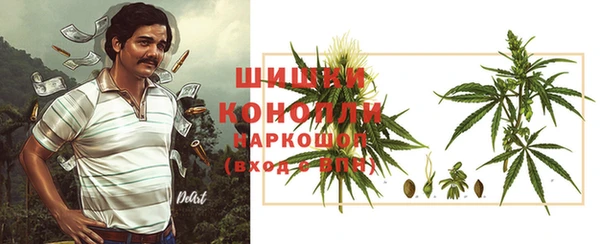 соль ск Арсеньев