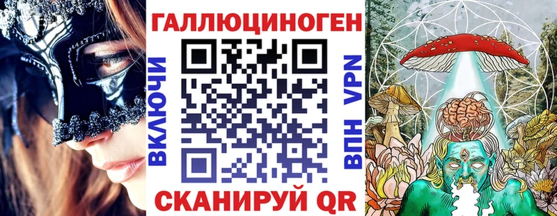 omg Малмыж Псилоцибиновые грибы Psilocybe