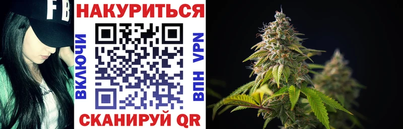 блэк спрут маркетплейс  где купить наркоту  Малмыж  маркетплейс наркотические препараты  Каннабис конопля 